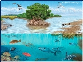 Картинки по запросу екосистема